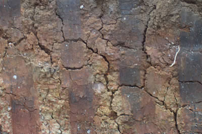Being Cognizant of Reactive Soil Sites (Part I)