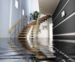 The Adverse Effects that Water Can Have on Your Home