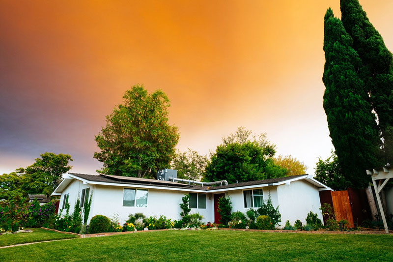 Words of Warning for Homes Near Trees