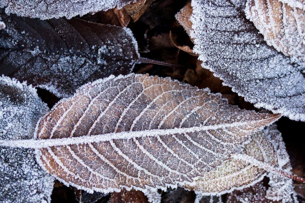 How the Seasons Affect Your Foundation